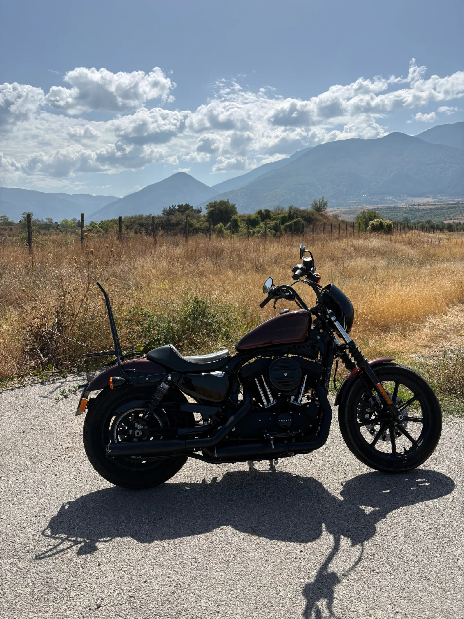 Harley-Davidson Sportster  1200, снимка 5 - Мотоциклети и мототехника - 56039666
