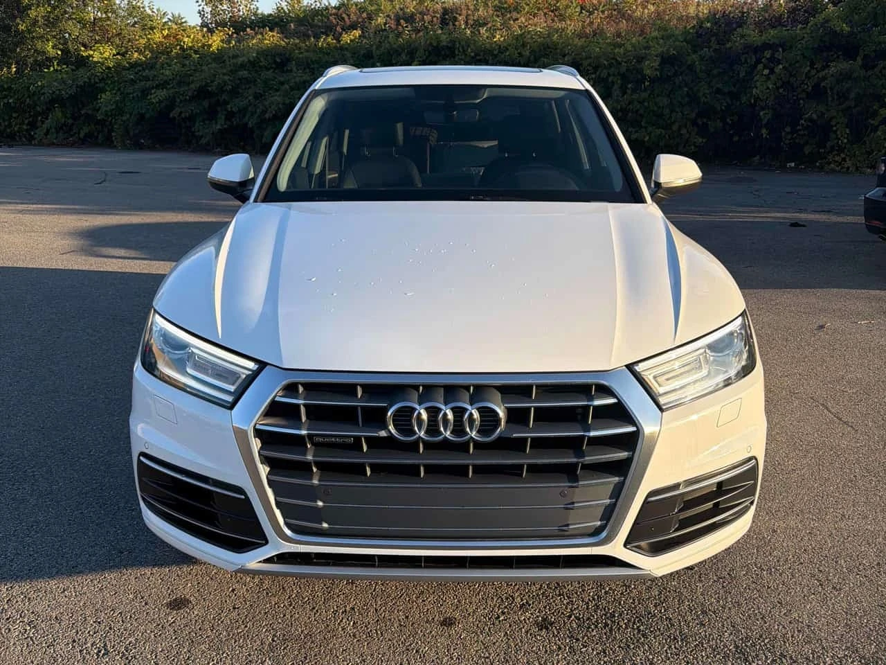 Audi Q5 * Progressiv * CARFAX *  | Mobile.bg � ����������� 6