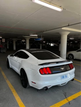 Ford Mustang * EcoBoost* HeadUp* * A* (  ) | Mobile.bg    3