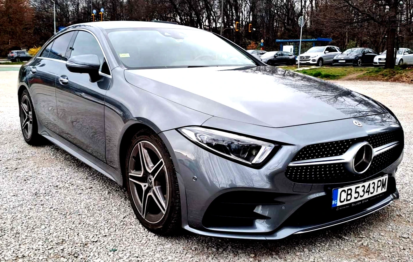Mercedes-Benz CLS 400 SILVERSTAR AMG 4MATIC/ОБДУХВАНЕ/, снимка 6 - Автомобили и джипове - 55558142