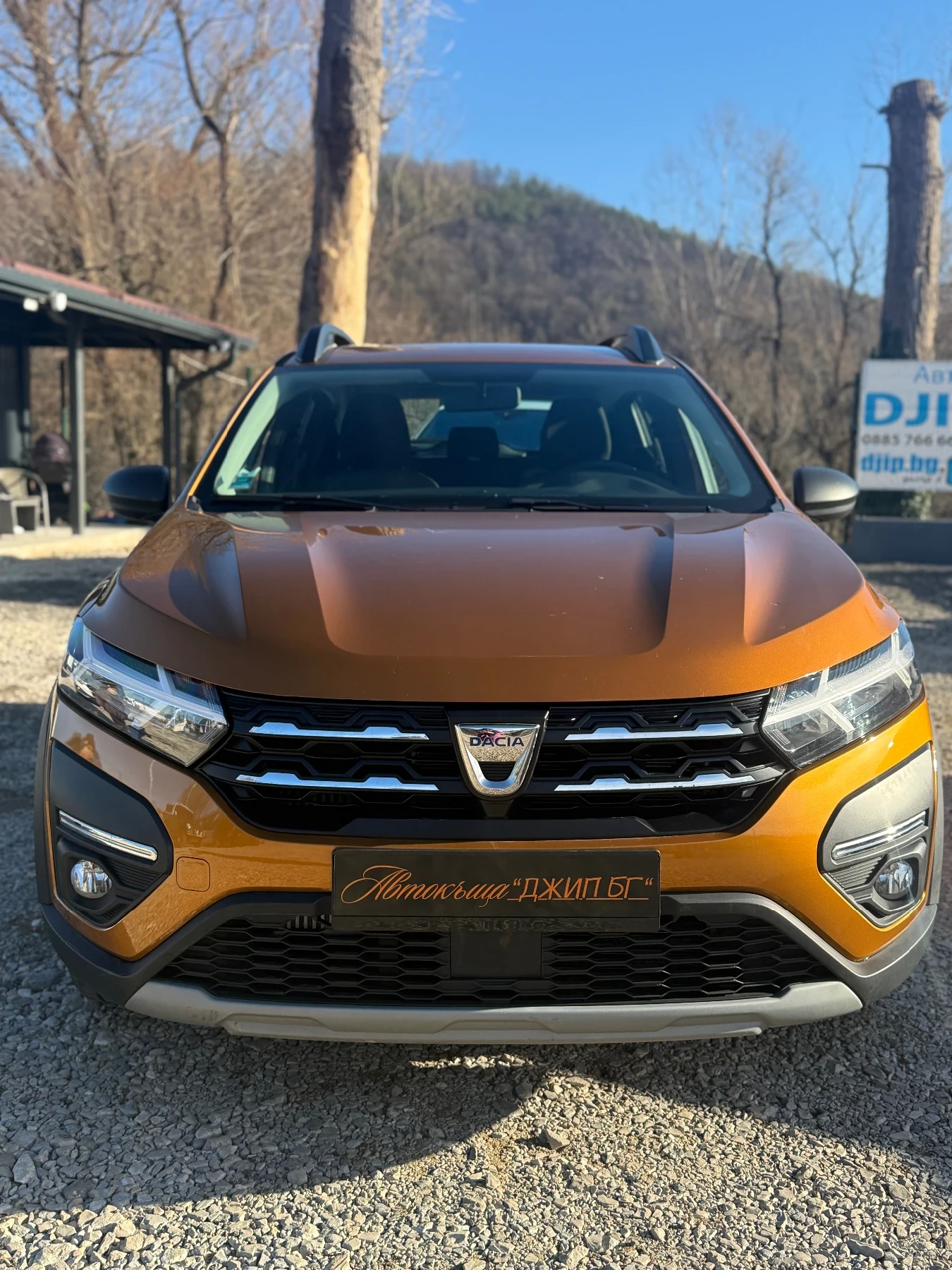 Dacia Sandero STEPWAY 1.0-102kc LPG | Mobile.bg � ����������� 2