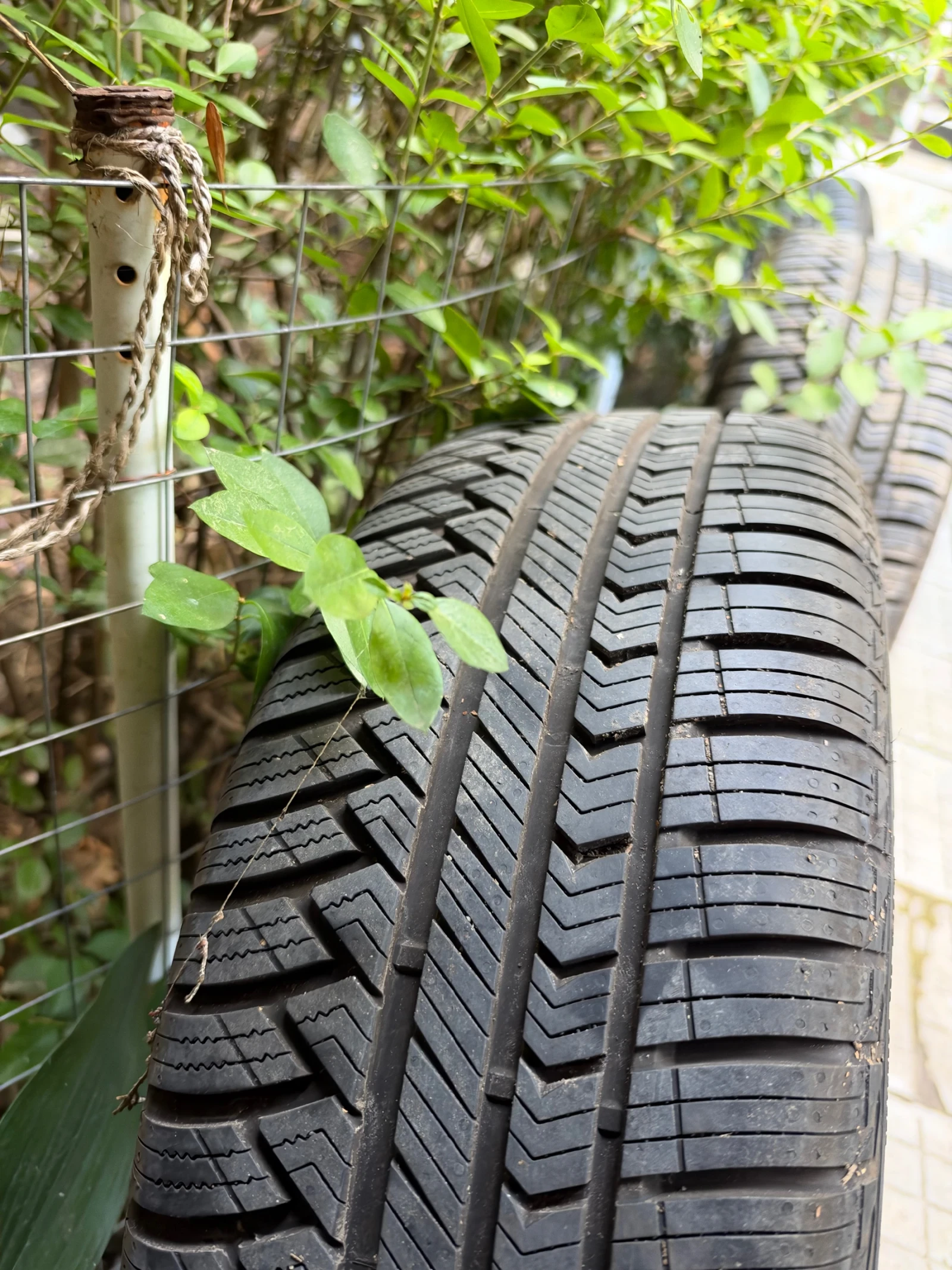���� � ������ 215/55R17 | Mobile.bg � ����������� 7