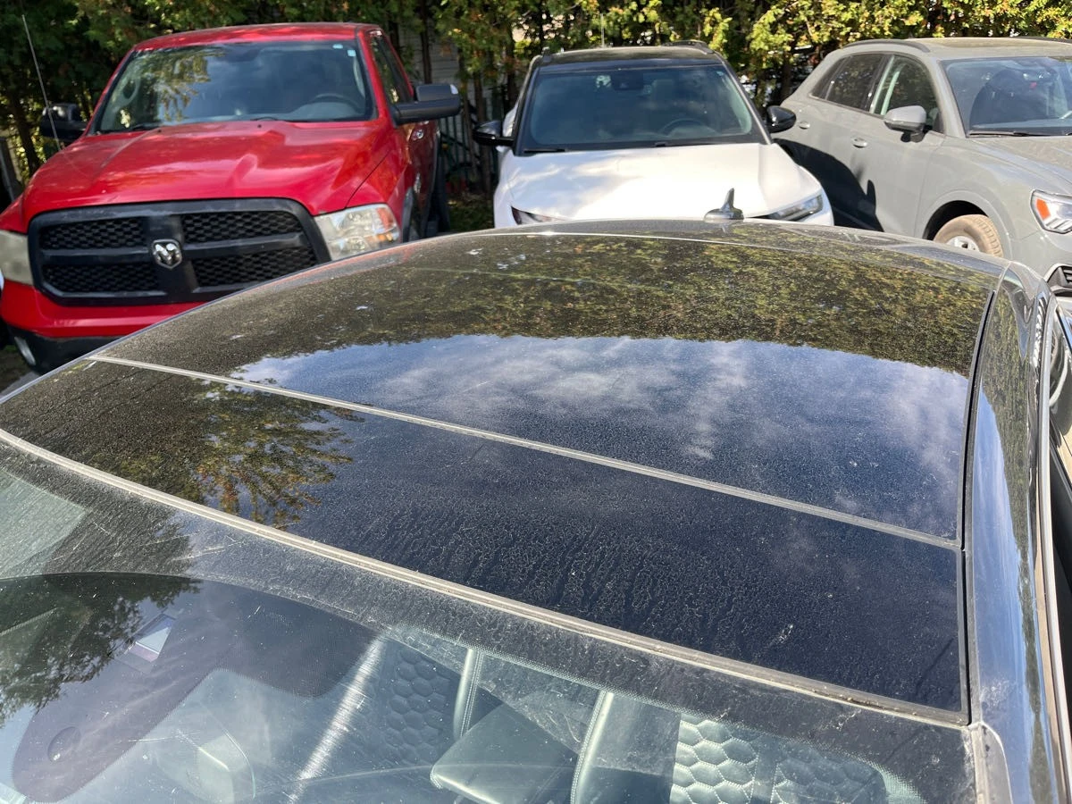 Audi Rs5 � ����������� & ���� ������ | Mobile.bg � ����������� 12