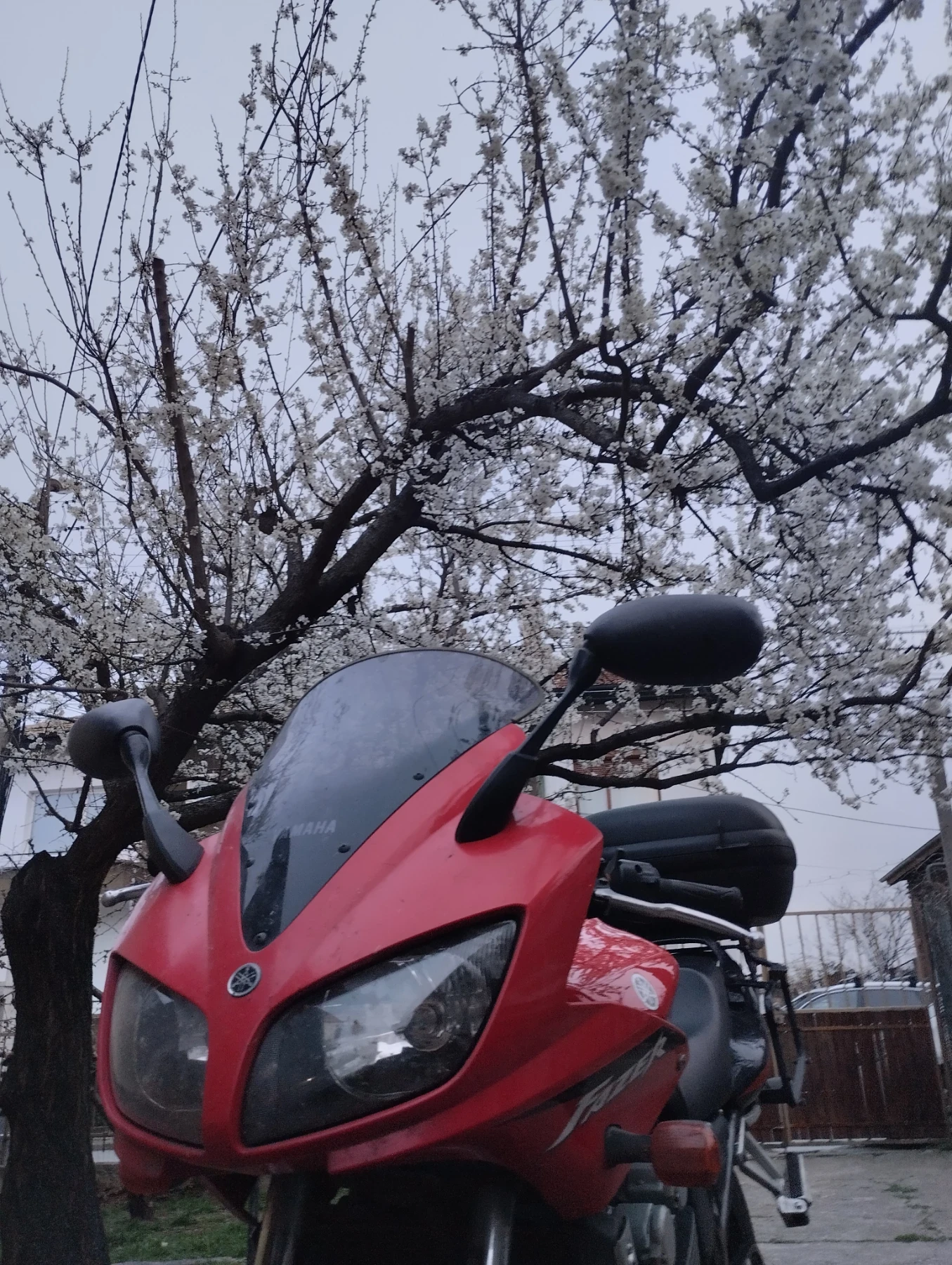 Yamaha Fazer  - изображение 4