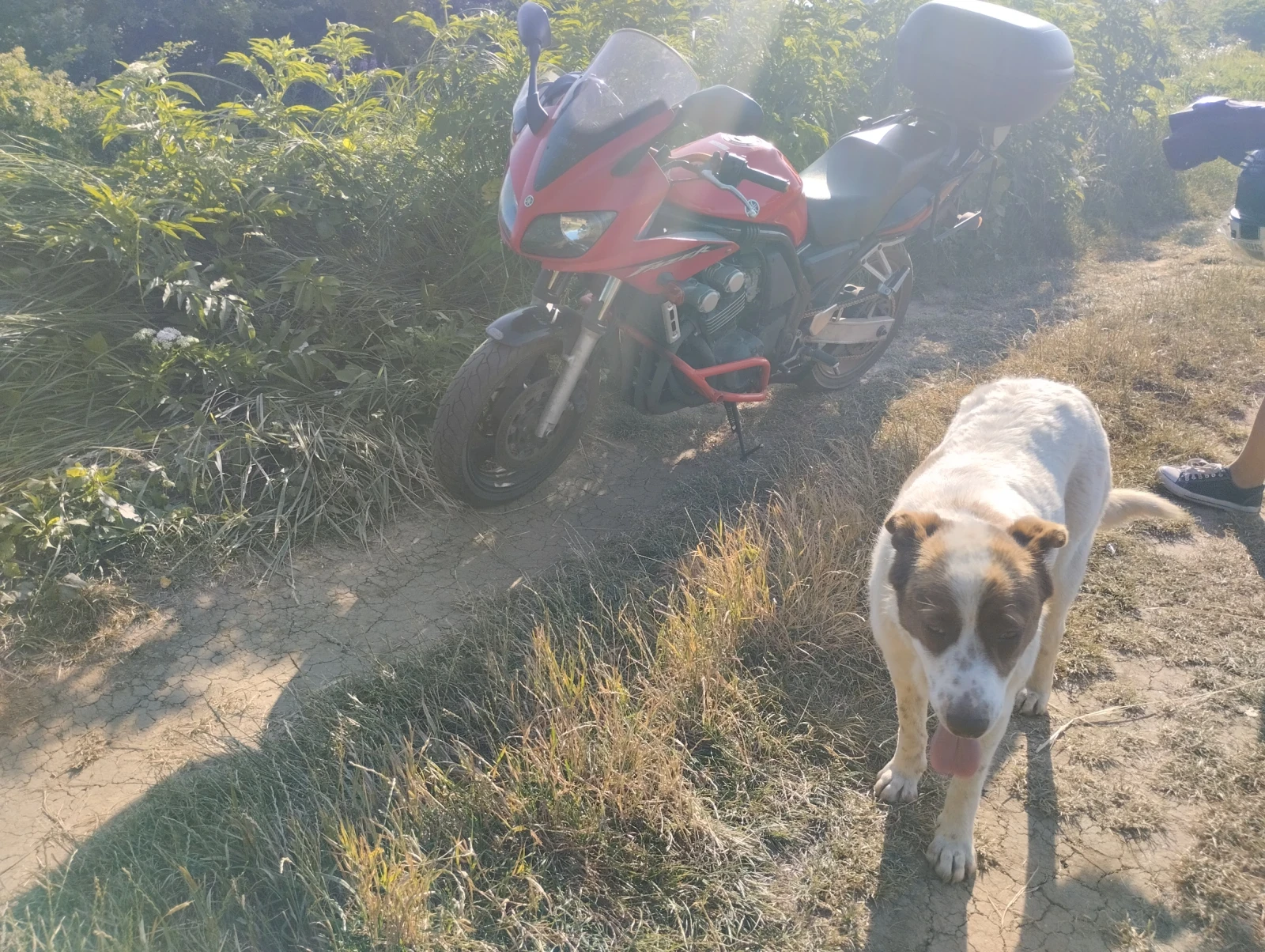 Yamaha Fazer  - изображение 3