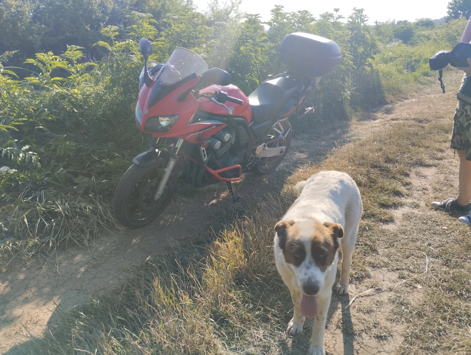 Yamaha Fazer  - изображение 2