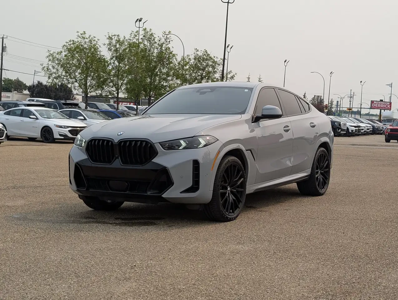 BMW X6