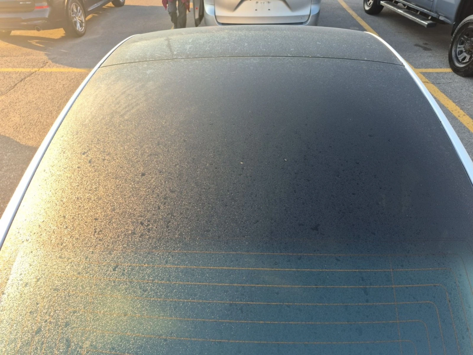 Tesla Model 3 STANDARD RANGE PLUS ���������� ���� �� �������� | Mobile.bg � ����������� 13