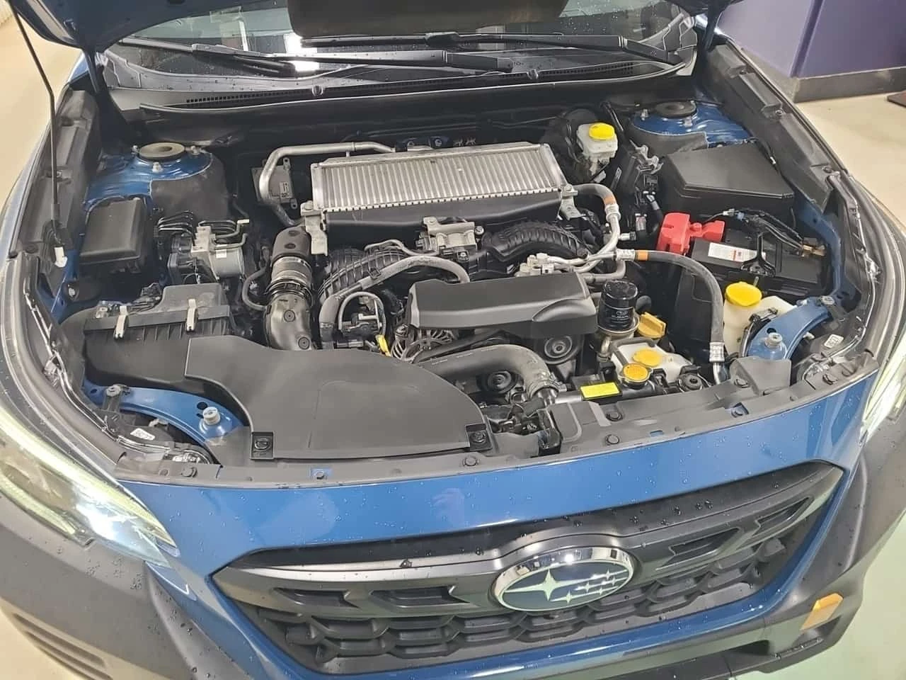 Subaru Outback * WILDERNESS * CARFAX * ����� �� ����������� | Mobile.bg � ����������� 17