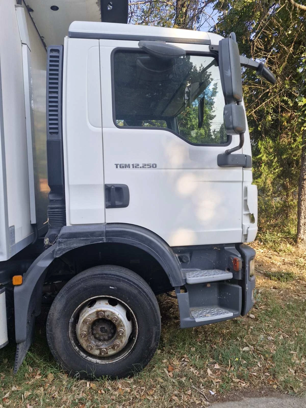 Man Tgm TGM250+ Хладилен+ Регистриран, снимка 2 - Камиони - 55708112