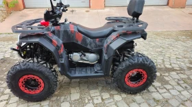 Falcon Discovery 200cc с лебедка и теглич, снимка 3