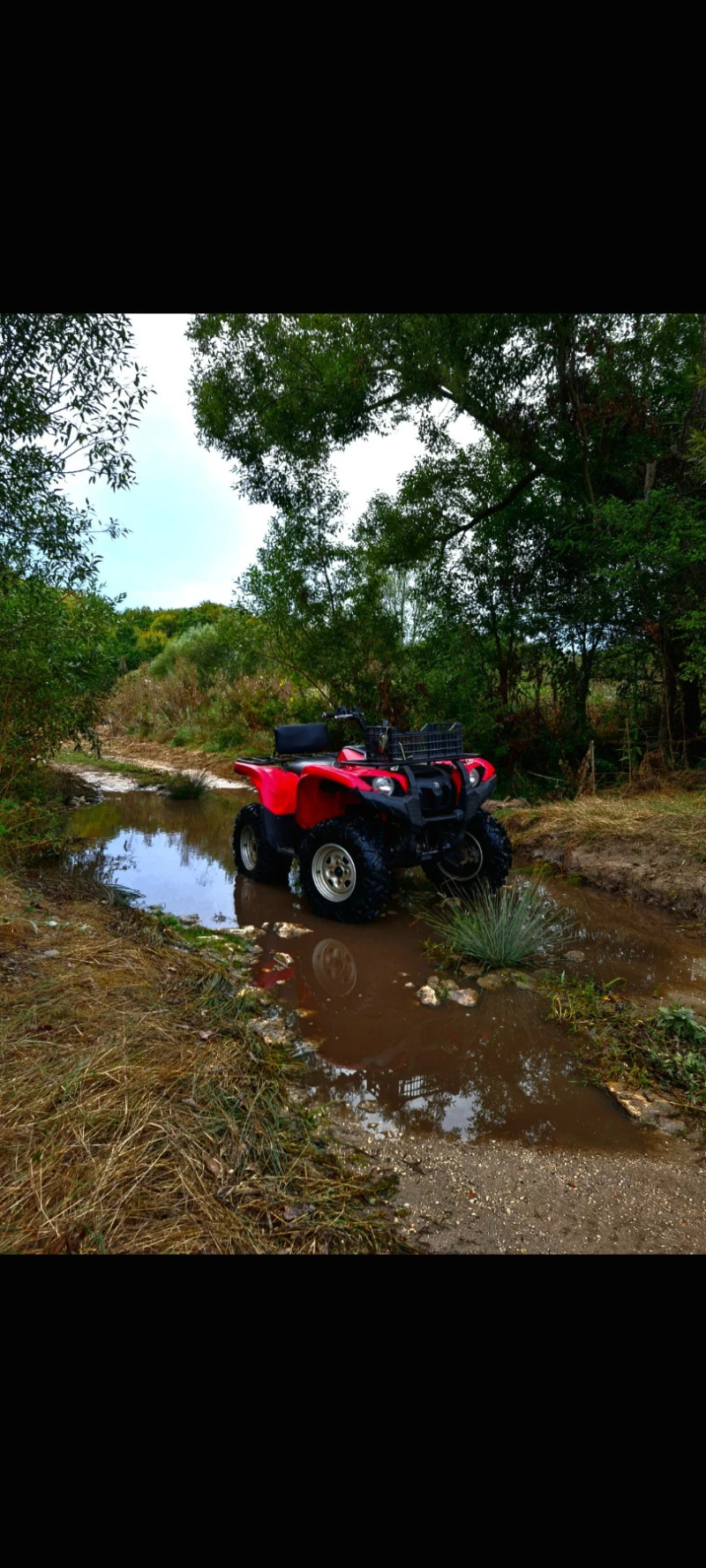 Yamaha Grizzly, снимка 4 - Мотоциклети и мототехника - 45981590