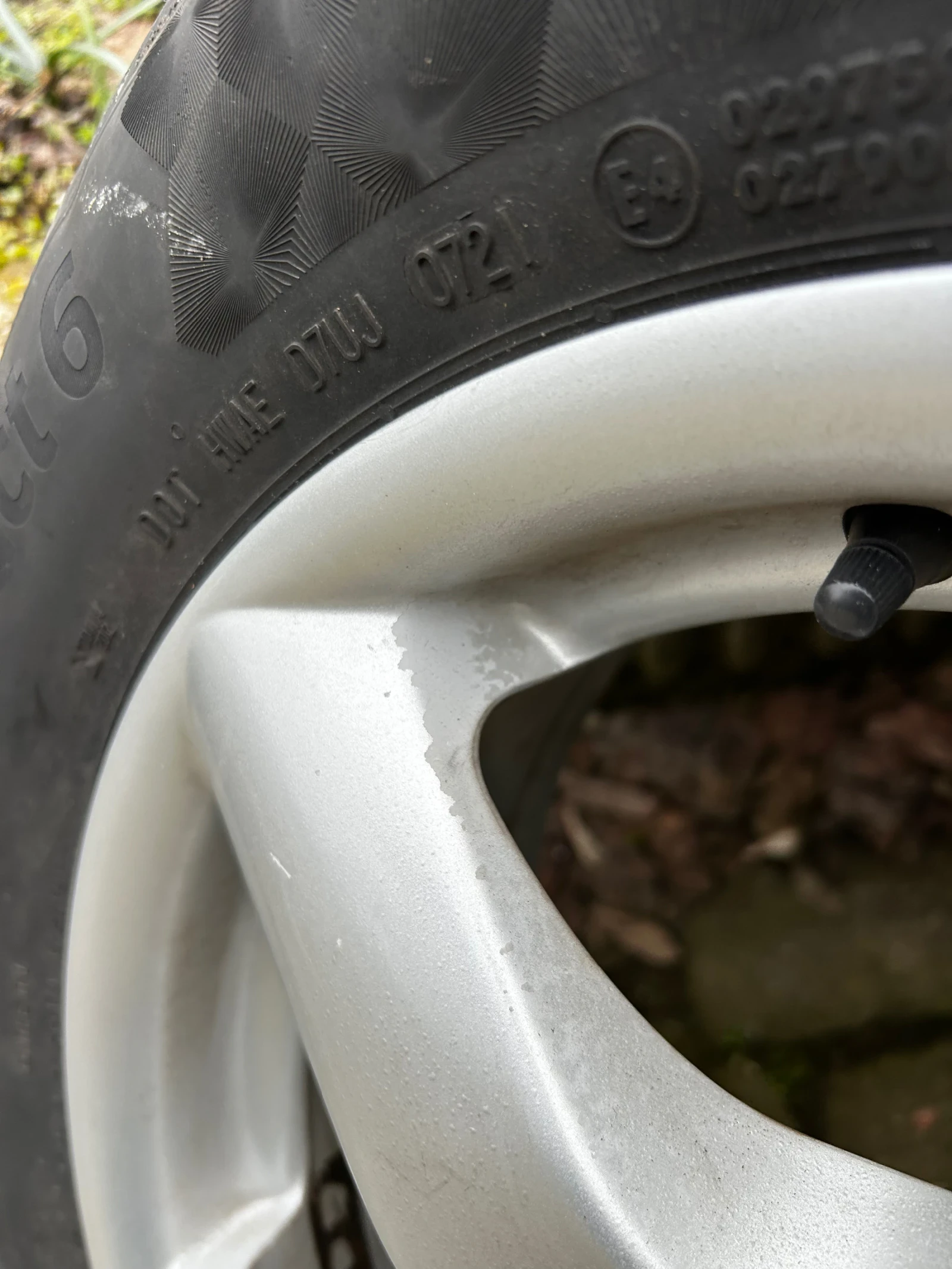 ������ | Mobile.bg � ����������� 10