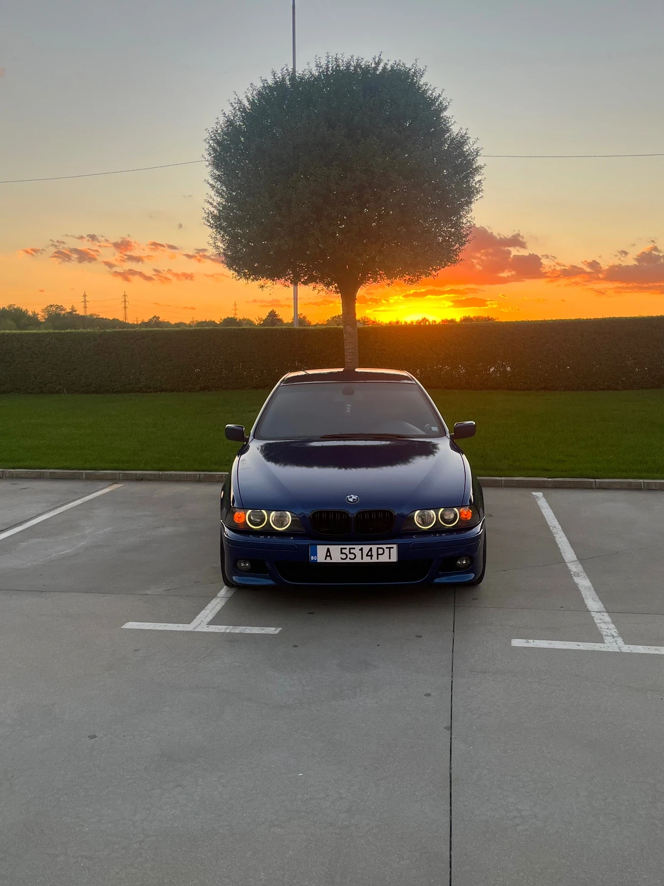 BMW 525 3.0D 2260