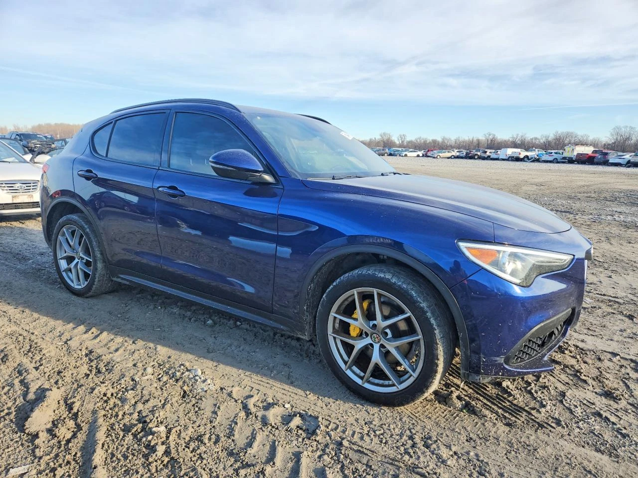 Alfa Romeo Stelvio !!БОГАТО ОБОРУДВАНЕ!! !!ПОДГРЕВИ! !КАМЕРИ!, снимка 4 - Автомобили и джипове - 54963202
