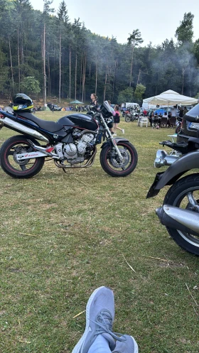 Honda Hornet, снимка 12