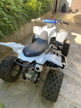 Yamaha Raptor, снимка 4