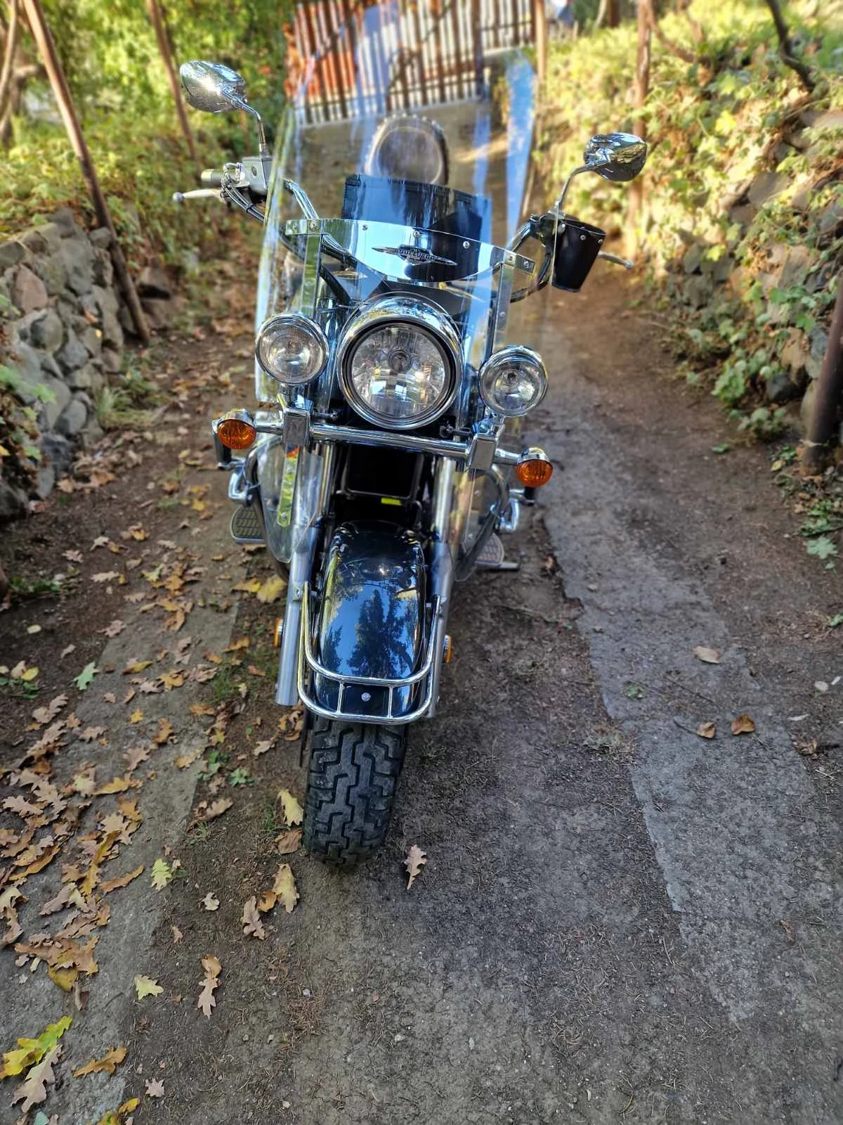 Suzuki Boulevard C90T VL1500 - изображение 3