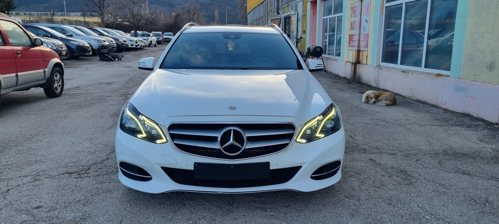 Mercedes-Benz E 250 2.2D BITURBO 4MATIC FULL  - изображение 2