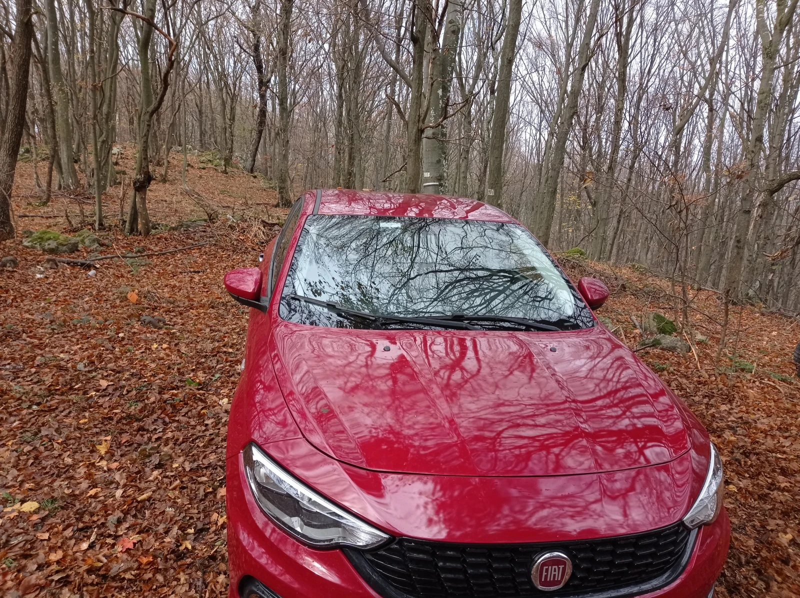 Fiat Tipo 1, 4