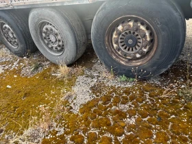 ����������� Krone | Mobile.bg � ����� ������ 4