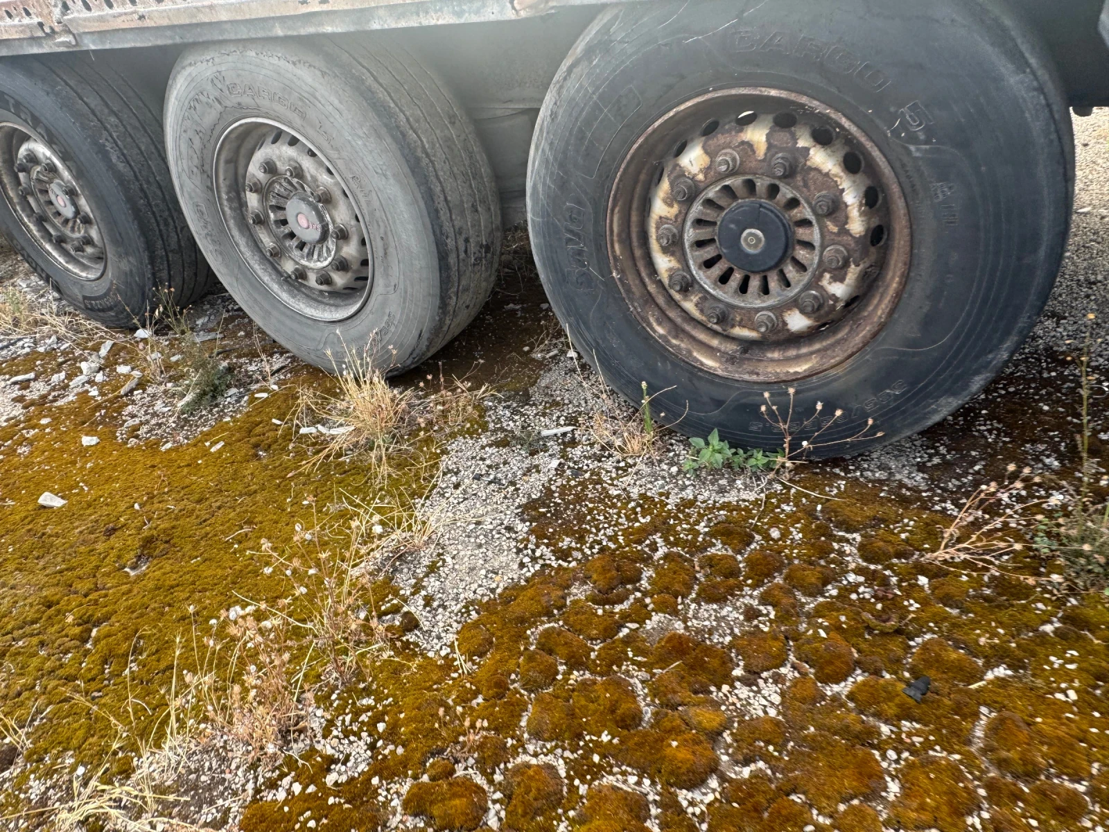 ����������� Krone | Mobile.bg � ����������� 4
