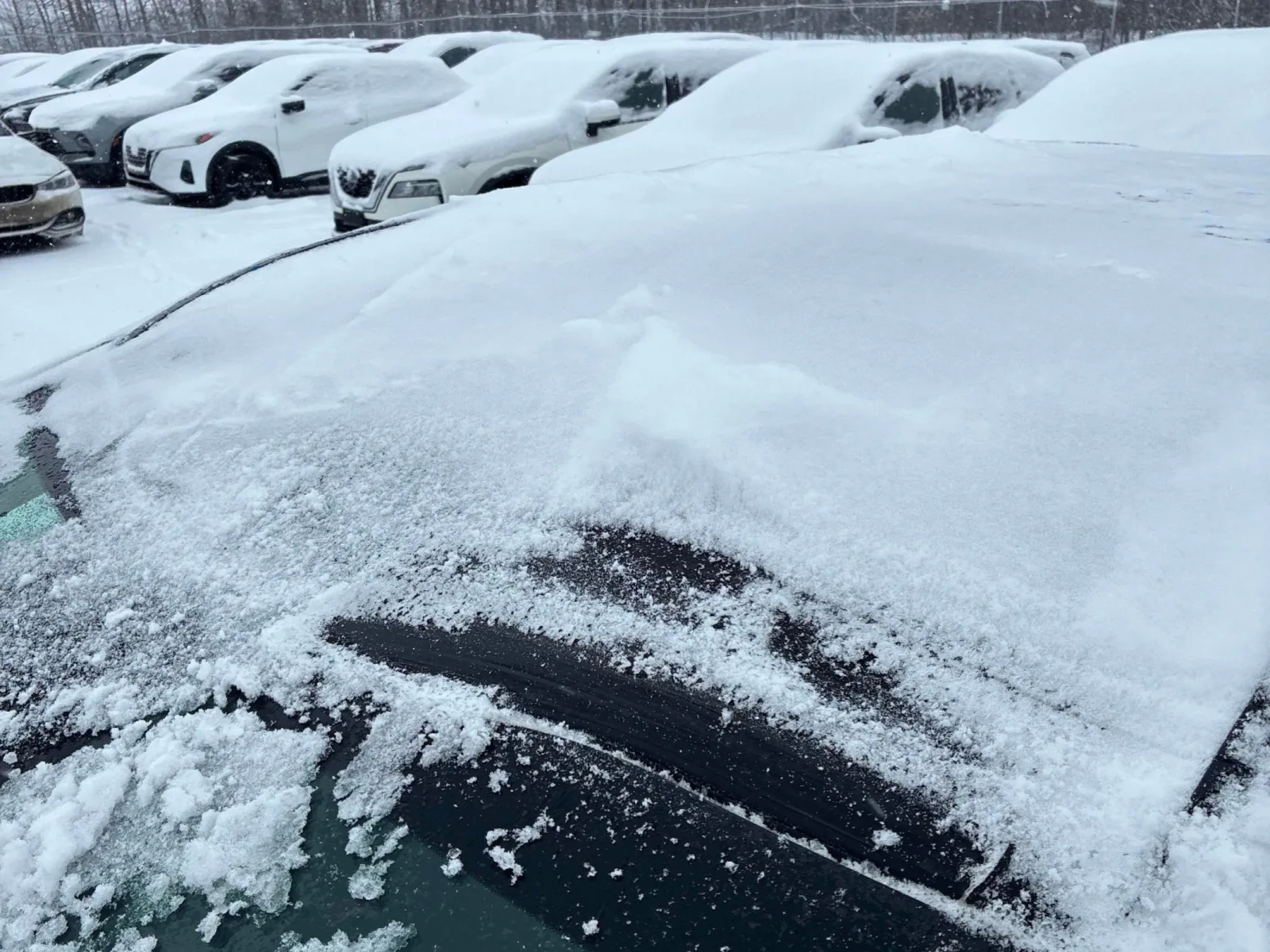 Kia Sportage  EX / CARFAX /��������/�������/ ����/4�4 | Mobile.bg � ����������� 14