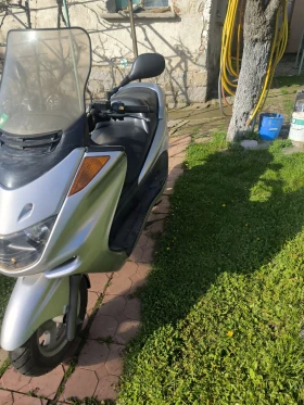 Yamaha Majesty 250 | Auto.bg — изображение 5