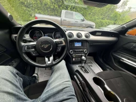 Ford Mustang GT Fastback  CARFAX, снимка 12