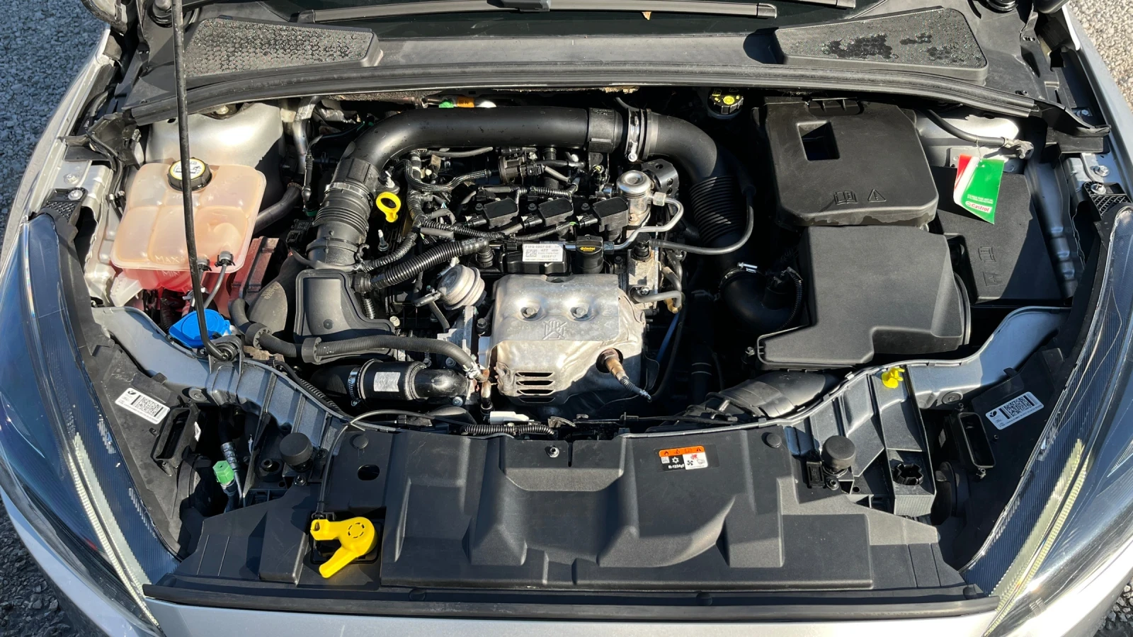 Ford Focus ST Line 125 kc, снимка 13 - Автомобили и джипове - 54306062