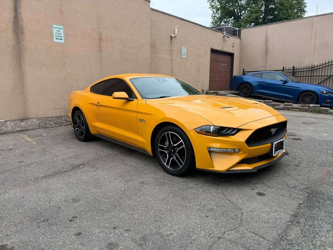 Ford Mustang GT Fastback  CARFAX, снимка 2 - Автомобили и джипове - 55574477
