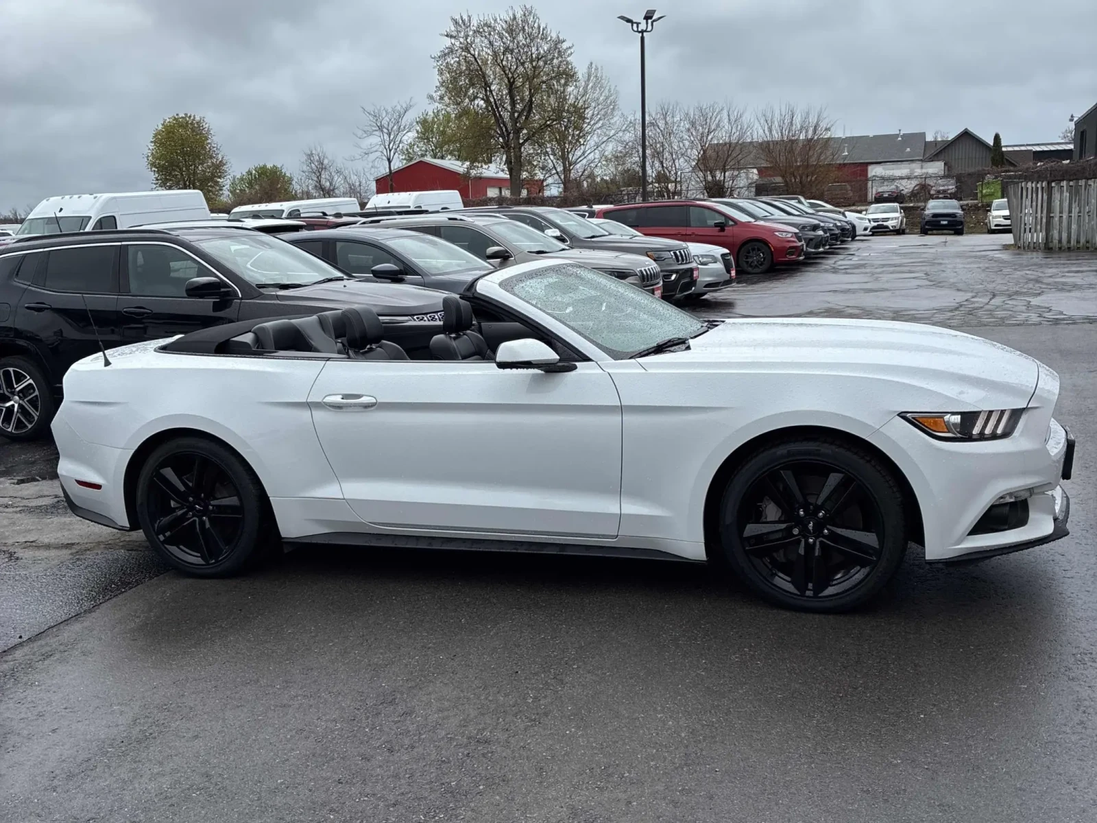 Ford Mustang EcoBoost Premium * * Обдухване * * ЦЕНА ДО БГ * * , снимка 4 - Автомобили и джипове - 54401772