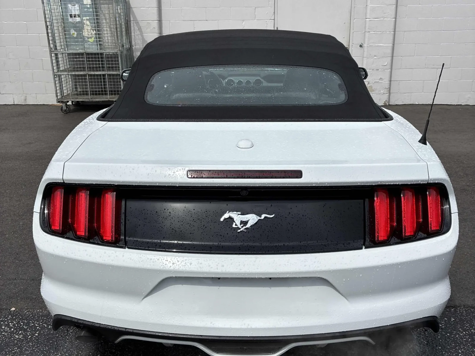 Ford Mustang EcoBoost Premium * * Обдухване * * ЦЕНА ДО БГ * * , снимка 5 - Автомобили и джипове - 54401772