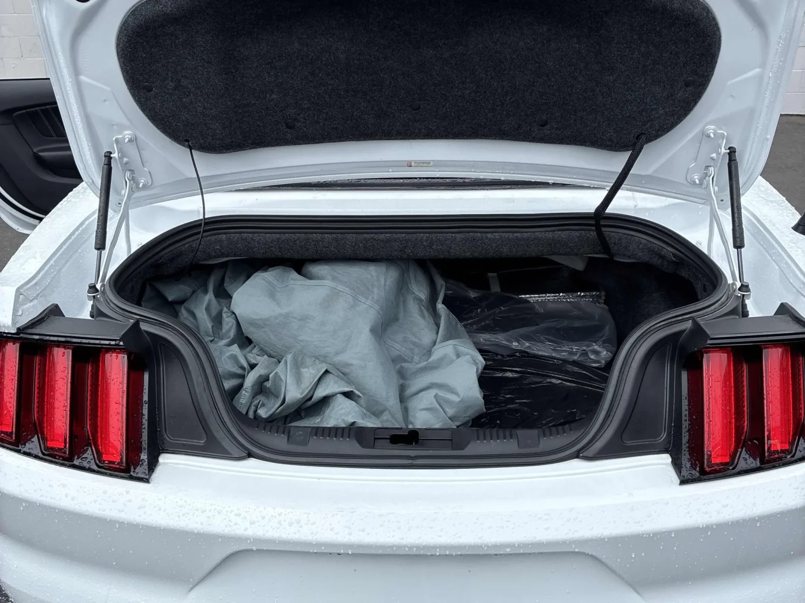 Ford Mustang EcoBoost Premium * * Обдухване * * ЦЕНА ДО БГ * * , снимка 10 - Автомобили и джипове - 54401772