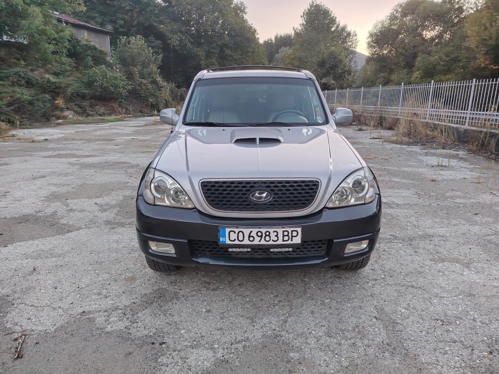 Hyundai Terracan 2.9, снимка 3 - Автомобили и джипове - 56349648