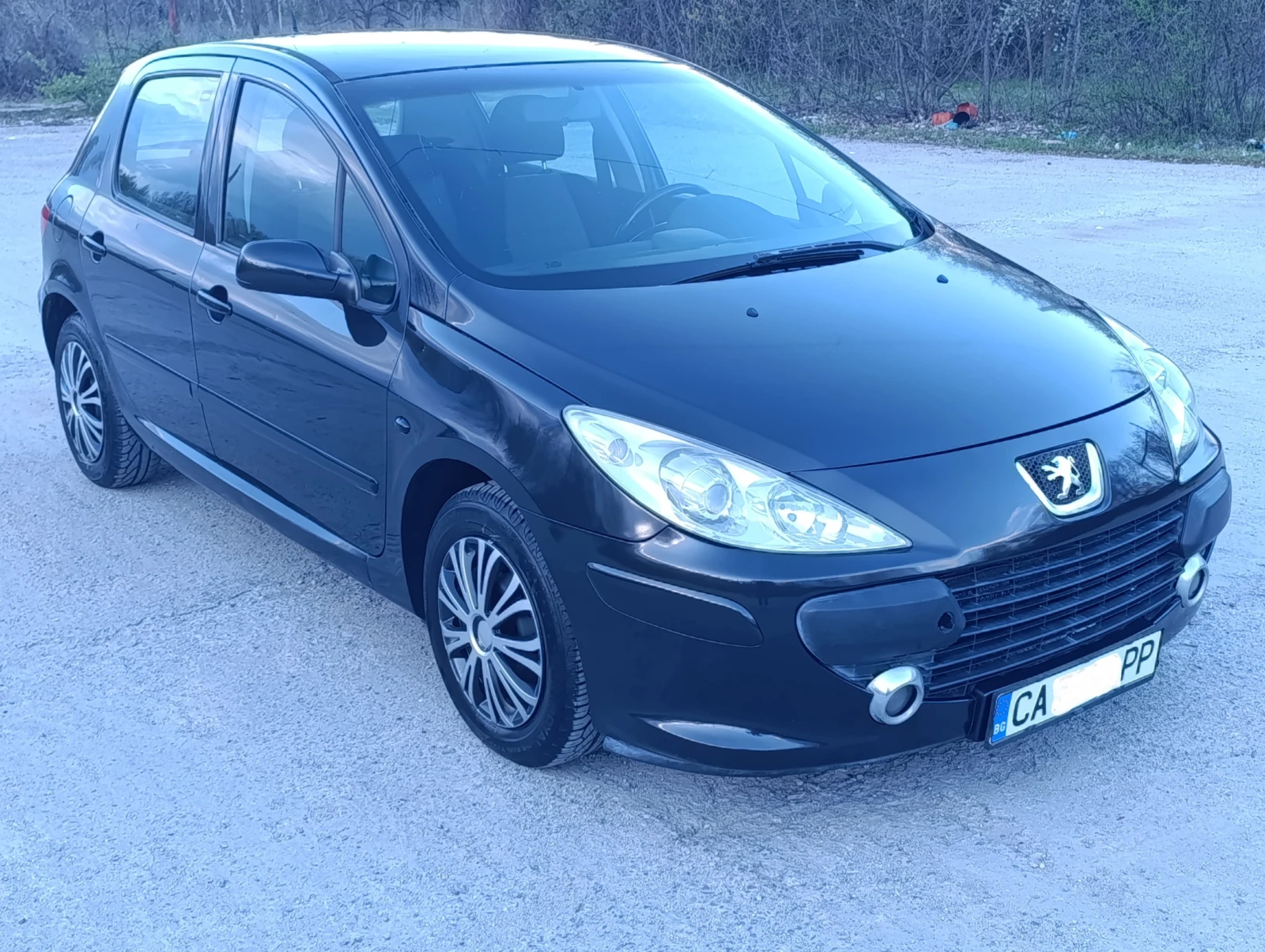 Peugeot 307 1.6i, снимка 2 - Автомобили и джипове - 54260125
