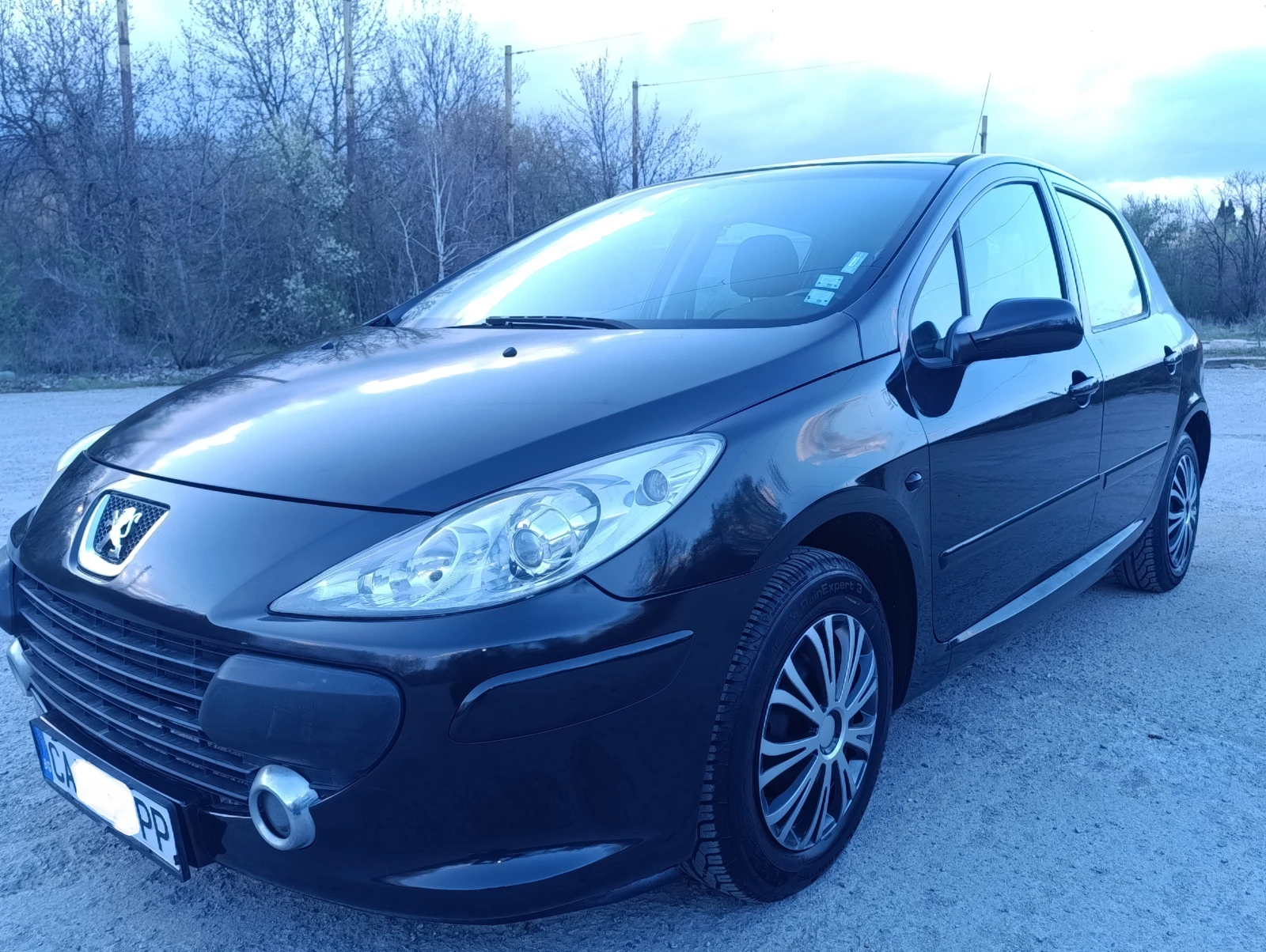 Peugeot 307 1.6i