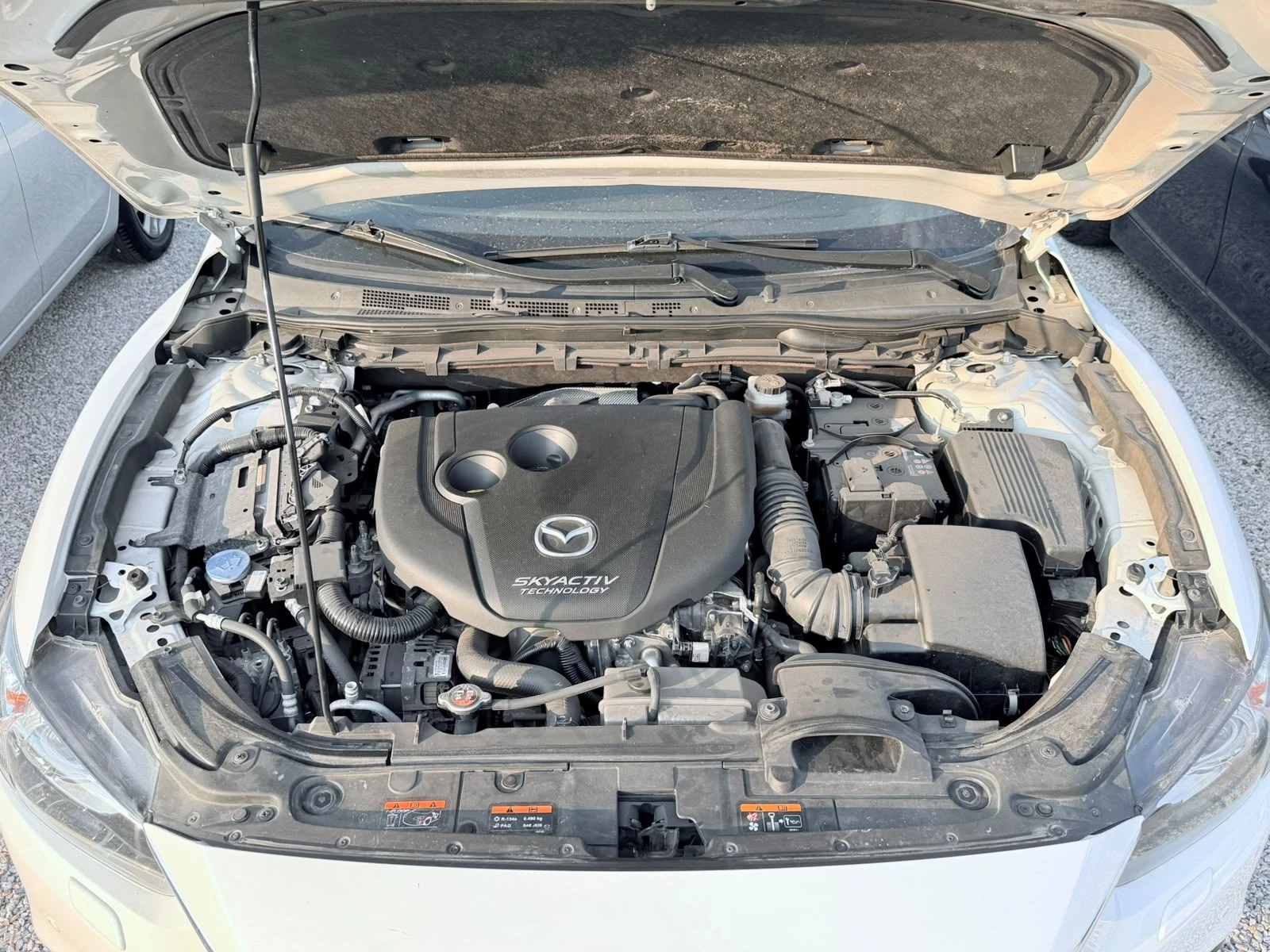 Mazda 6 2.2 Evolve  | Mobile.bg � ����������� 7