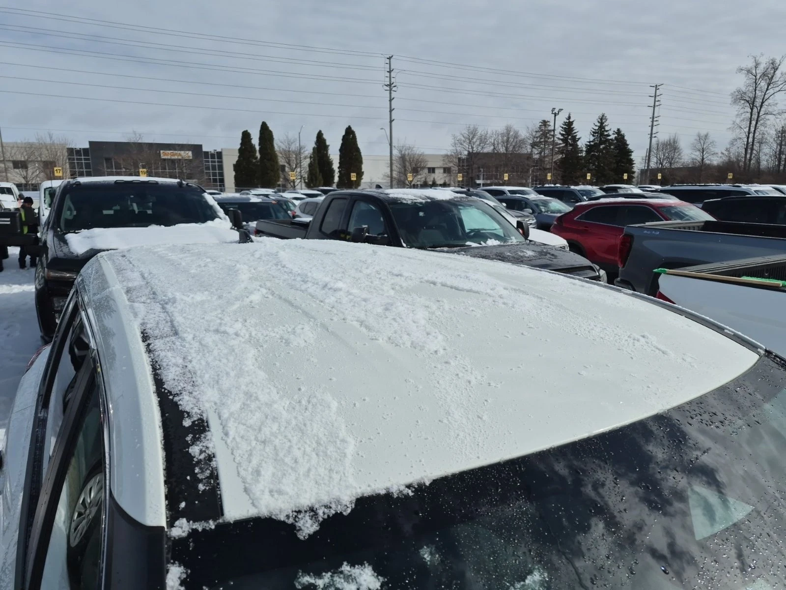 Nissan Rogue S /CARFAX /�������/��������� /����� ������  | Mobile.bg � ����������� 15