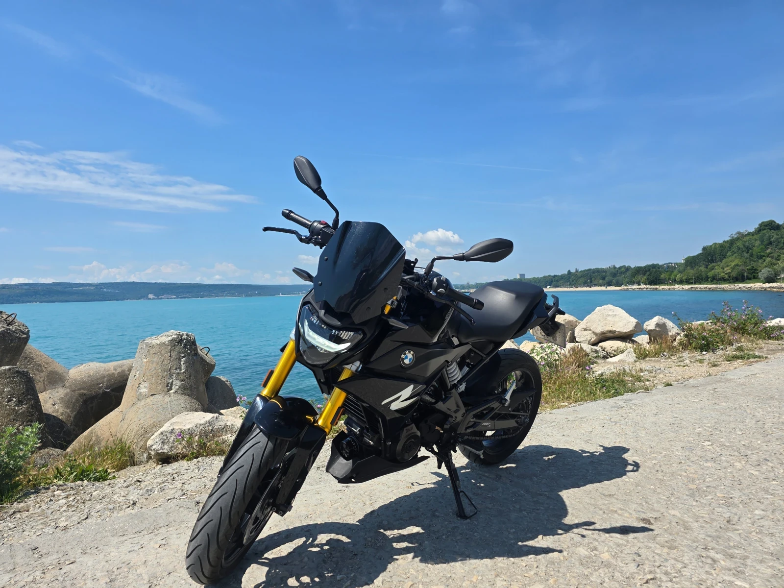 BMW G 310R