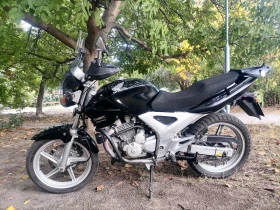 Honda Cbf 250, снимка 4
