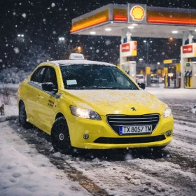 Peugeot 301, снимка 11