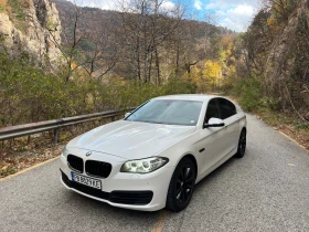     BMW 520 Face Lift