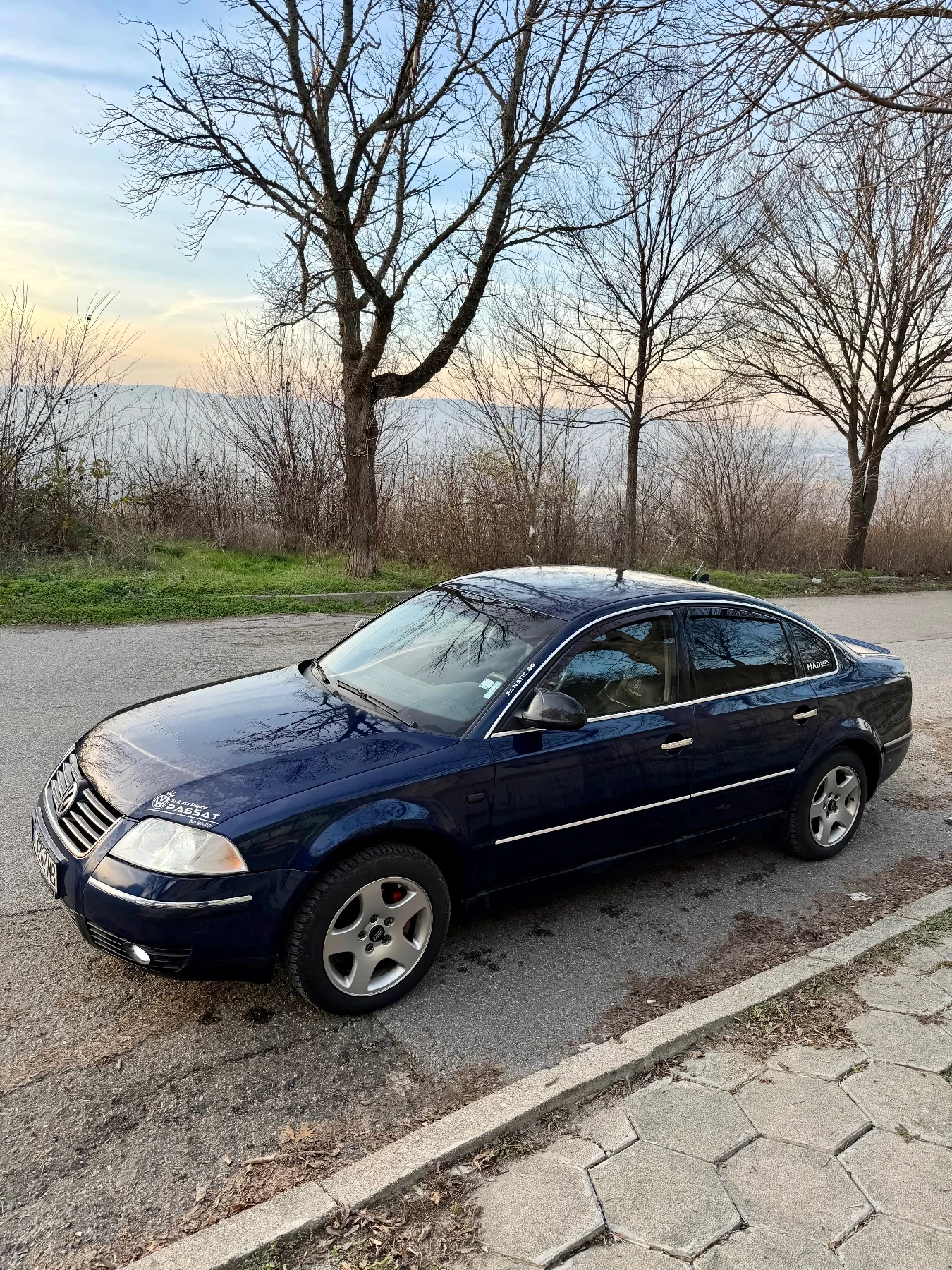 VW Passat 1.9 131HP | Mobile.bg � ����������� 3