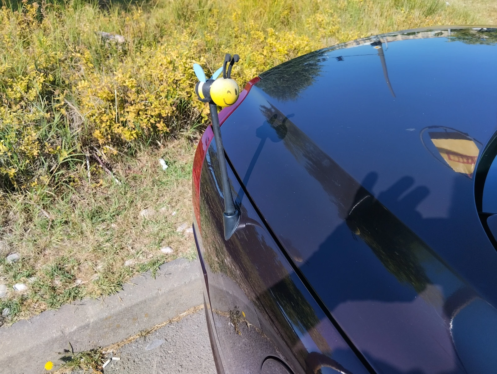 Volvo C70 II генерация, снимка 10 - Автомобили и джипове - 55241285