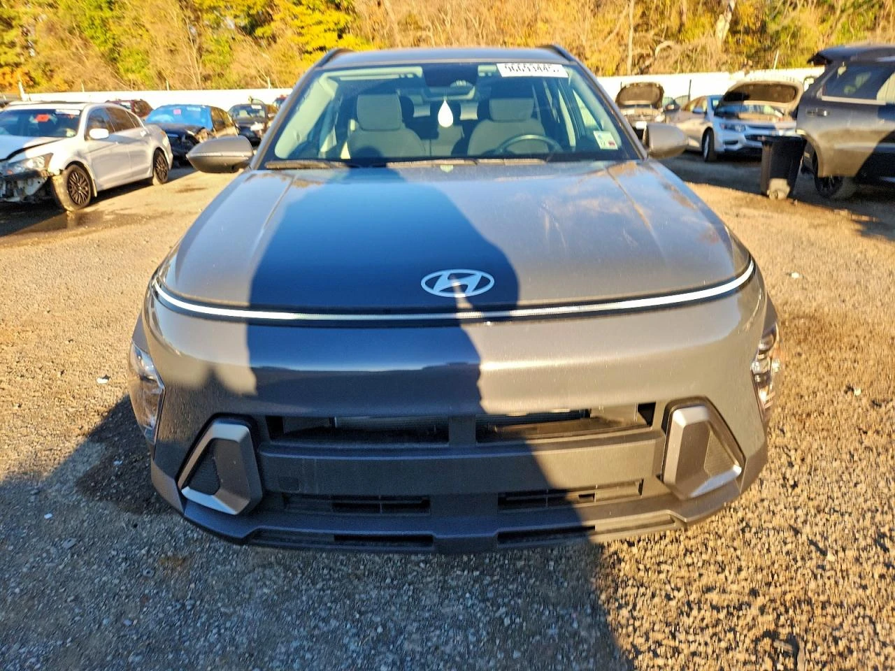 Hyundai Kona SEL | Mobile.bg � ����������� 1