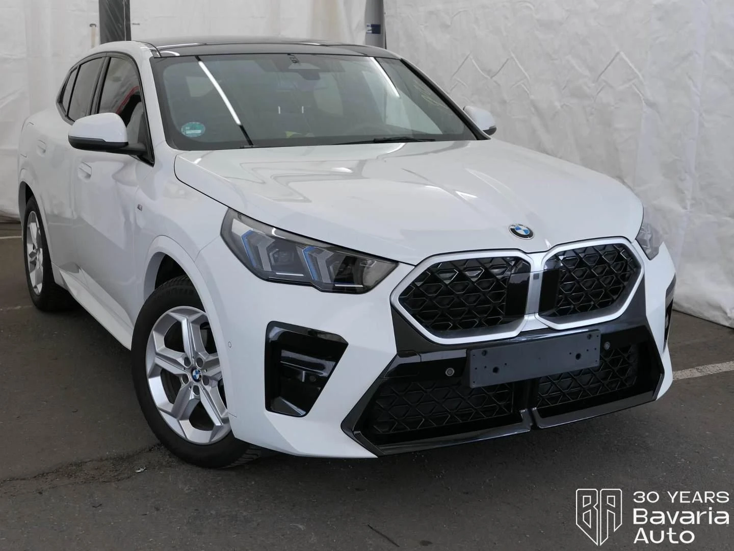 BMW X2 20d xDrive M Sport Paket Steptronic, снимка 4 - Автомобили и джипове - 53966785