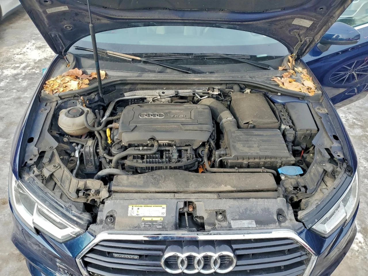 Audi A3 2l Premium Plus | Mobile.bg � ����������� 11