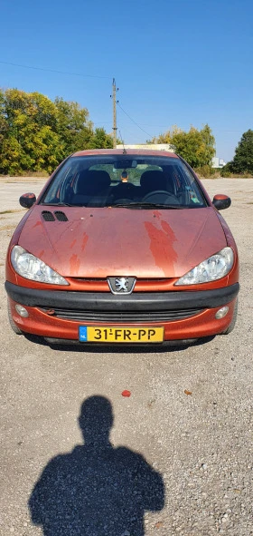  Peugeot 206