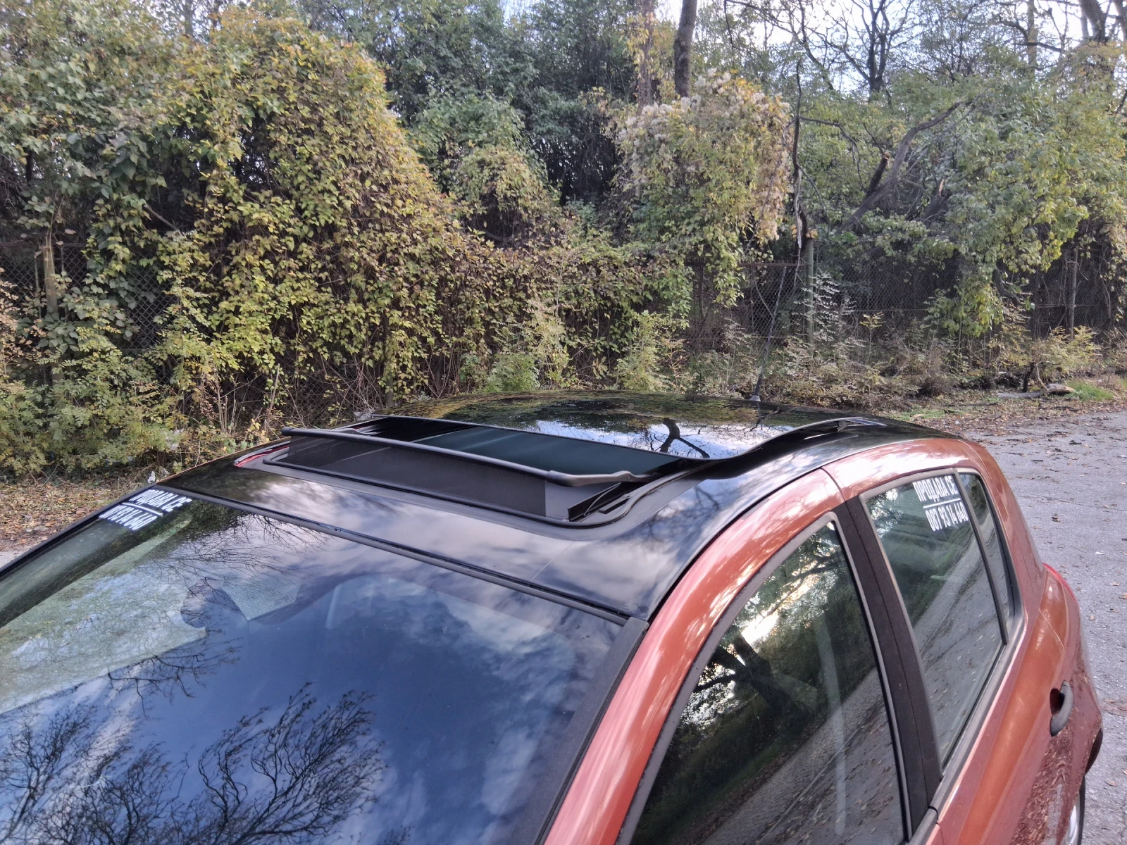 Renault Clio 1.6 16v panorama  | Mobile.bg � ����������� 12
